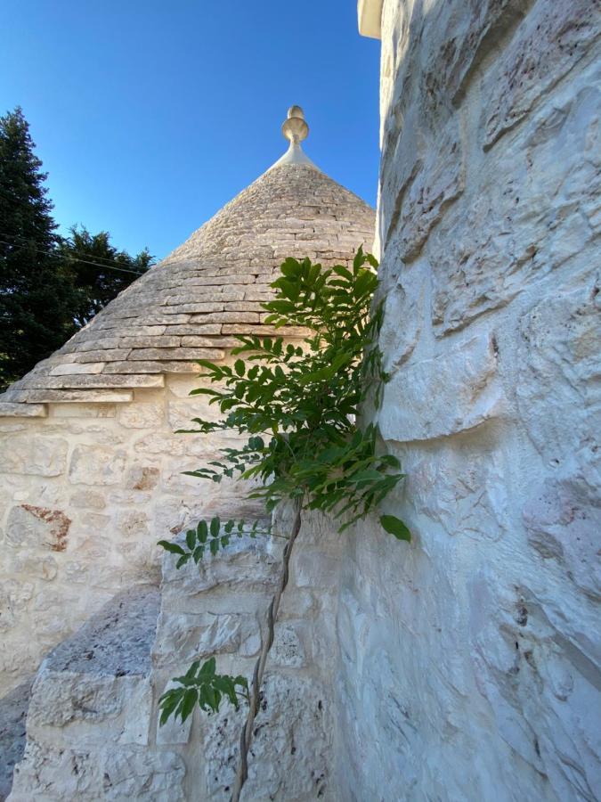 法萨诺I Trulli Del Tupparello住宿加早餐旅馆 外观 照片